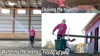 Vlog: Volunteering at a horse barn