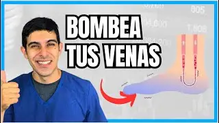 Rutina de BOMBEO DE VENAS, MAYORES DE 40 AÑOS