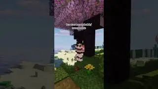 @emilepsi=45ed44