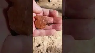 Early Archaic Kirk point worked down to a Blunt/scraper. North Mississippi creek find 3-22-25