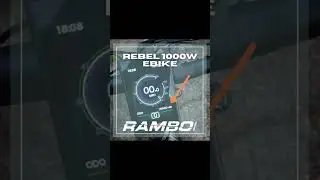 Rambo Bikes Rebel 1000W with 10,000 miles on it doing GREAT!