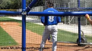 Blue Jays SS Dickie Thon Jr. taking batting practice - minor league spring training 2012