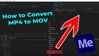 Как конвертировать MP4 в MOV в Adobe Media Encoder