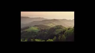 Chilling music 🍃 #chill #chillmusic #calm #calmmusic