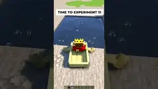 Minecraft What Happens When we Boat in Soul Sand Pool #Minecraft #soulsand #shorts