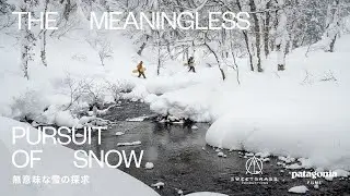 THE MEANINGLESS PURSUIT OF SNOW  | 無意味な雪の探求