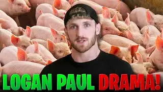 LOGAN PAUL ABANDONS PIG DRAMA! 🚨