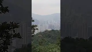 BIRD ROCK FORMATION #shortvideo #explorehk