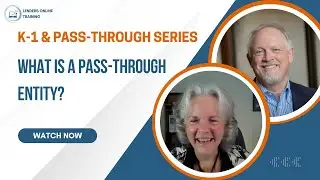 K-1 & Pass-through Series: What is a Pass-through Entity?