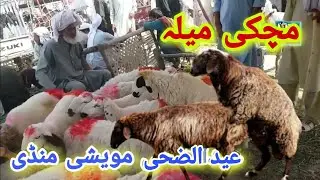 Eid ul Azha Special Machki Mela, Karak