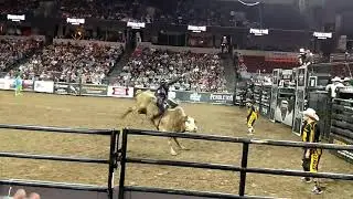 PBR  velocity  tour bull riding