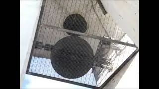 Le campane della chiesa di Regina Pacis di Fornacette, plenum con le 3 campane maggiori alle 17:30.