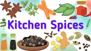 Kitchen Spices Vocabulary | English Vocabulary