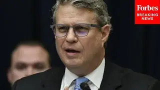 'What Is The Reason And Evidence?': Huizenga Grills Experts On 'Bank Runs' Caused By Climate Change