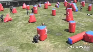 Best of Reddit Montage