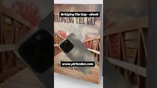 Bridging the Gap &ndash; eBook with Resell Rights