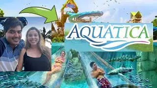 Así es Aquática, el parque aquático para grandes y pequeños de SeaWorld en Orlando