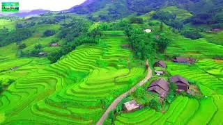 Peaceful Instrumental Tracks &ndash; Relaxing Music for Study & Focus