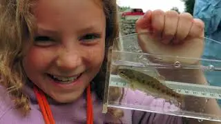 A Story of Salmon in Houston, BC
