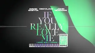 David Guetta x MistaJam x John Newman - If You Really Love Me [Future Rave Remix]