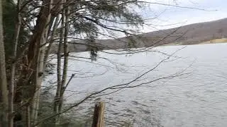 Quaker Lake Hike Opportunity, Allegany State Park