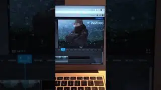 Green screen winter