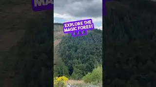 🌲🌲🌲IT&rsquo;S A KIND OF MAGIC 🪄 #shorts #forest #nature #explore #magic
