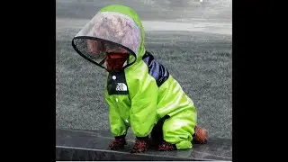 Pet Dog Raincoat Waterproof Detachable Rain Jacket Dogs Water Resistant Clothes