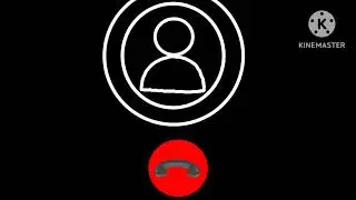 Google Duo Call