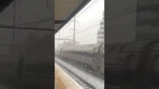 Amtrak train flying in snow on the Northeast Corridor #railfanning #train #northeastcorridor