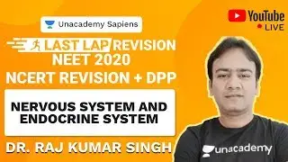 Last Lap NCERT Revision and DPP | Nervous System and Endocrine System | Biology