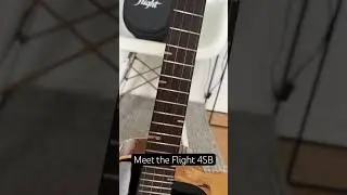 Meet the Flight 4SB #ukulele