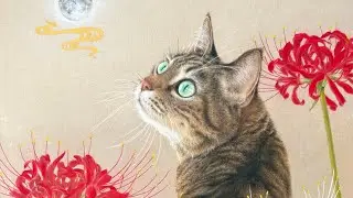 色鉛筆画【キジトラ猫と曼珠沙華】のメイキング動画🌝