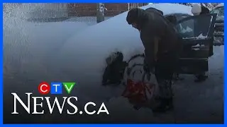 Toronto gets buried: Residents digging out after historic 50 cm snowfall