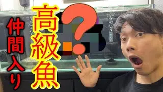 90㎝水槽に可愛い仲間をお出迎え！