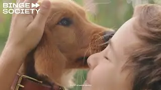 A Dog's Purpose: My name is Bailey, Bailey, Bailey