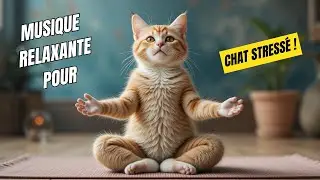 🎵 Антистрессовая музыка для кошек - релаксация, спокойствие и хорошее самочувствие 🐱✨