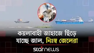 জাহাজের প্রপেলারে ক্ষত/বি'ক্ষত জেলেদের জীবন-জীবিকা | Coal Carrier Ship | Fisherman | Star News