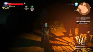 Witcher 3 - Superior Draconid Oil