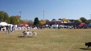 2016 Clover Highland Games & Scots-Irish Festival