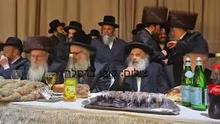 אדמורים ורבנים בשמחת נשואי בת הנגיד החשוב ר' שמואל בנימין שפירא מווינה