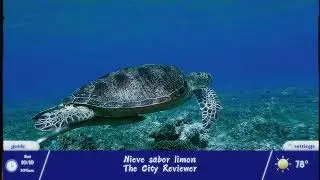 Retros TV Guide Channel - Vaporwave Playlist