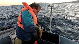 Torsk på stang og ruse i vanskelige vindforhold