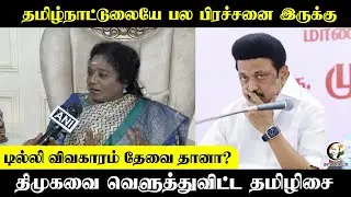 டில்லி விவகாரம் தேவை தானா? DMKவை வெளுத்துவிட்ட Tamilisai | MK Stalin | DMK