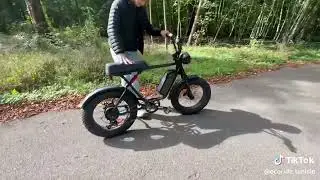 Ecoride Velo Electrique