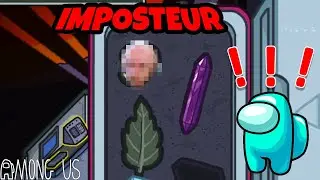 Bizarre la glacière ... (Among Us)