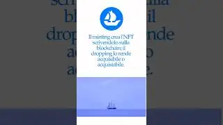 Academy_ opensea 5