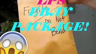 My New LPS Package From eBay! LPS Unboxing #1