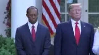 Trump awards Tiger Woods highest civilian award