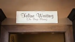 Rose Rock Veterinary Hospital & Pet Resort Testimony Video